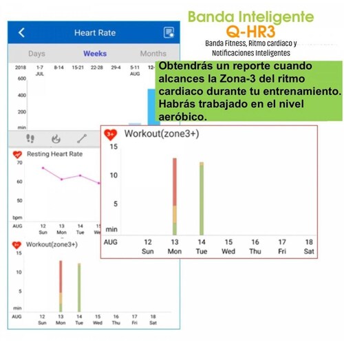 Smartband IgotU Q69HR Ritmo Cardiaco 24Hr con Entrenador y rutinas