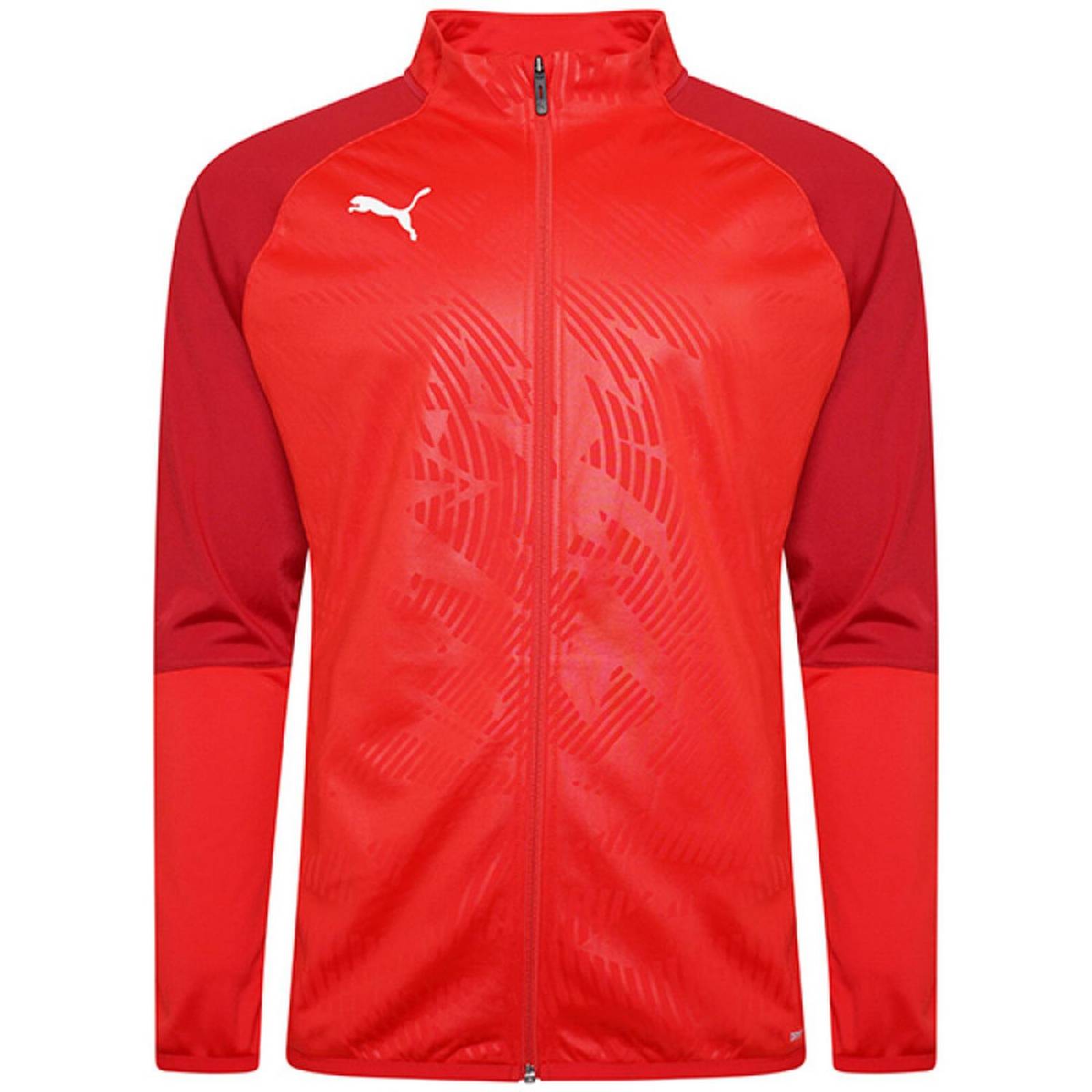 Sudadera Puma Cup Training para Hombre