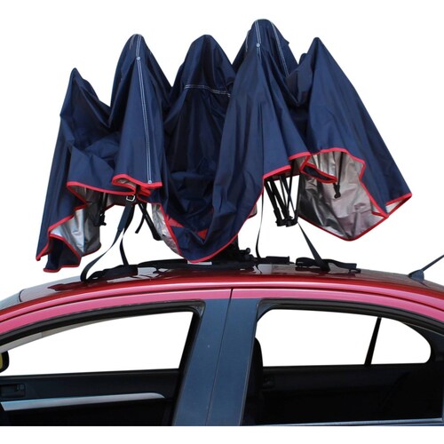 Sombrilla automática para auto