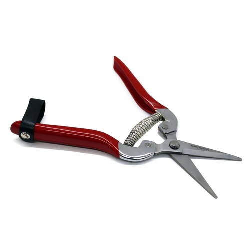 TIJERA RECTA PUNTA LARGA Inox (n523) Maple Tools 5 PIEZAS .