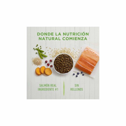 Alimento para mascotas Instinct Be Natural sabor salmón para Perros 10.8kg 