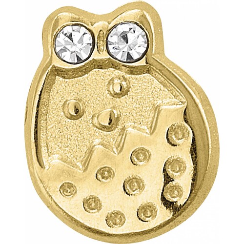 Broquel Pollito Cascaron 10K - 3460