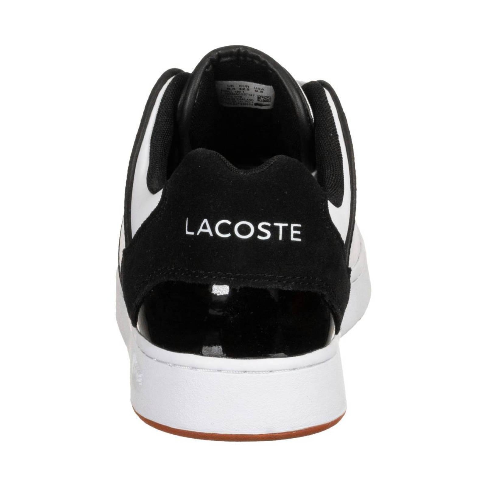 Moda lacoste online hombre