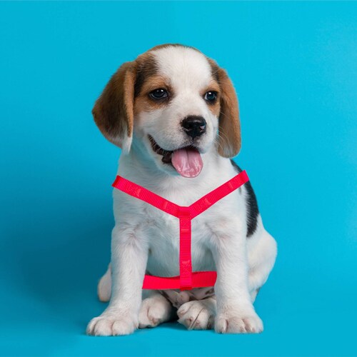 Arnes De Seguridad Pechera Rosa Neón Ajustable Para Perros Pequeños Mascotas