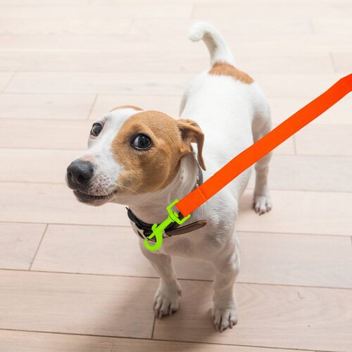 Correa Mediana Para Perro Resistente Color Fluorescentes 120 cm de Largo Con Clip Giratorio