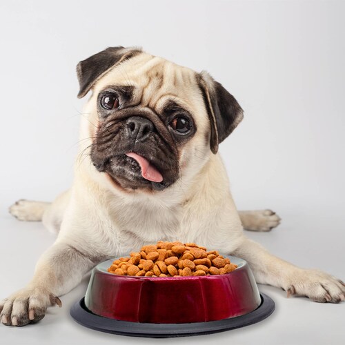 Plato Tazón Recipiente Comedero 226.76 gr Alimentacion para Perros De Aluminio Antiderrapante Chico Pets