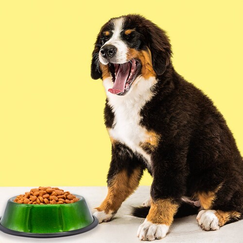 Plato Tazón Recipiente Comedero 1 Kg Alimentacion para Perros De Aluminio Antiderrapante Mediano Pets