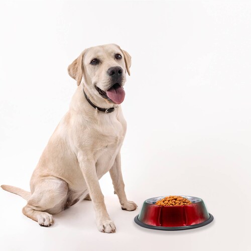 Plato Tazón Recipiente Comedero 1 Kg Alimentacion para Perros De Aluminio Antiderrapante Mediano Pets