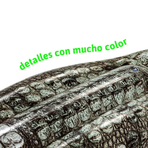 Cocodrilo Inflable Montable Infantil Salvavidas Realista.