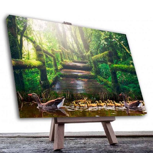 Cuadro Decorativo Canvas Camino a los Patos