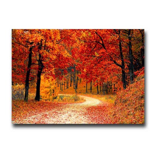 Cuadro Decorativo un día de otoño.