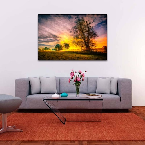Cuadro Decorativo Lindo Atardecer