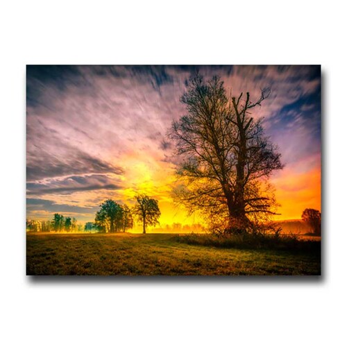 Cuadro Decorativo Lindo Atardecer