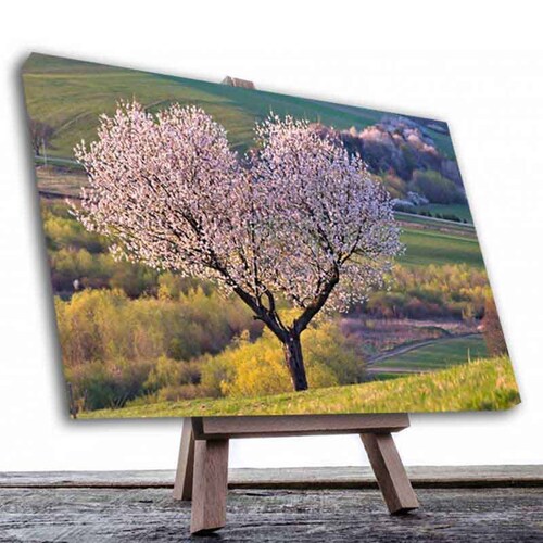 Cuadro Decorativo un Árbol del Corazón.