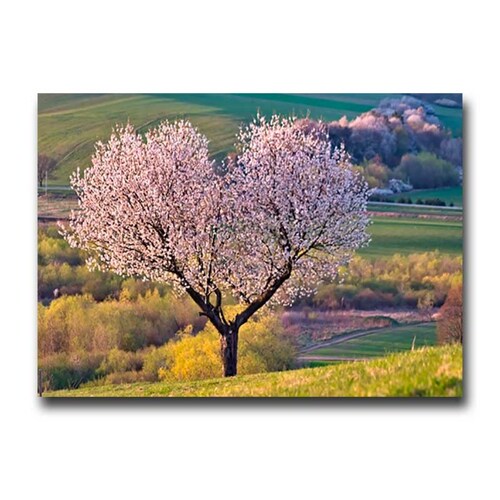 Cuadro Decorativo un Árbol del Corazón.