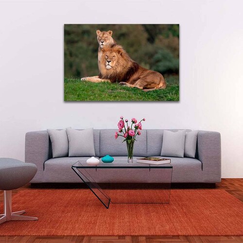 Cuadro Decorativo Canvas Paisaje Pareja de Leones