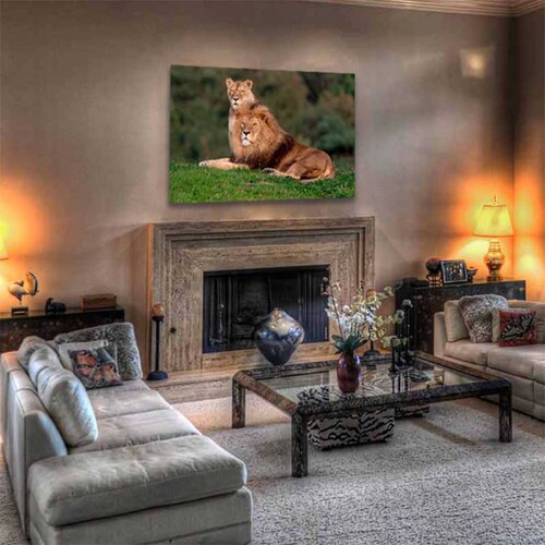 Cuadro Decorativo Canvas Paisaje Pareja de Leones