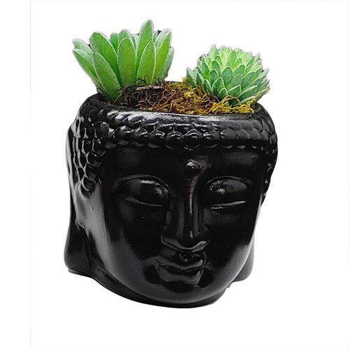Maceta Cabeza de Buda Negro
