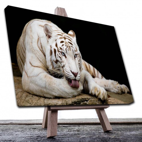 Cuadro Decorativo Canvas Paisaje de Tigre Blanco de 135 X 90 cm