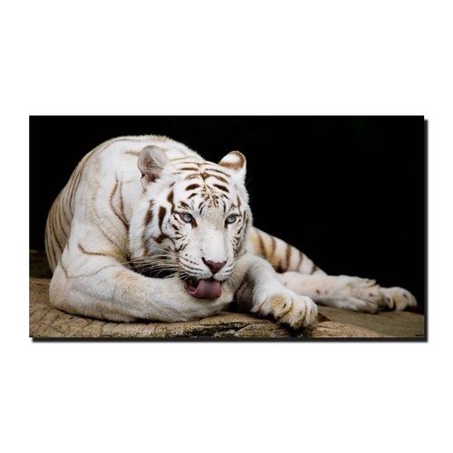 Cuadro Decorativo Canvas Paisaje de Tigre Blanco de 135 X 90 cm