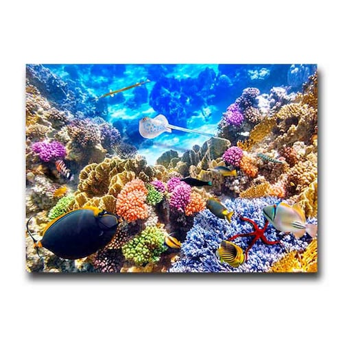 Cuadro Decorativo Canvas Paisaje de Arrecifes y Peces 2 de 60 x 40 cm