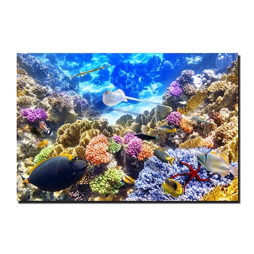 Cuadro Decorativo Canvas Paisaje de Arrecifes y Peces 2 de 60 x 40 cm