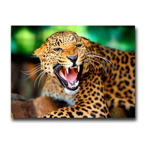 Cuadro Decorativo Canvas Paisaje de Leopardo de 120 X 80 cm.