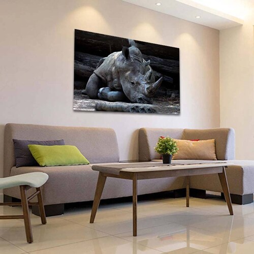 Cuadro Decorativo Canvas Paisaje de Rinoceronte gris de 60 x 40 cm