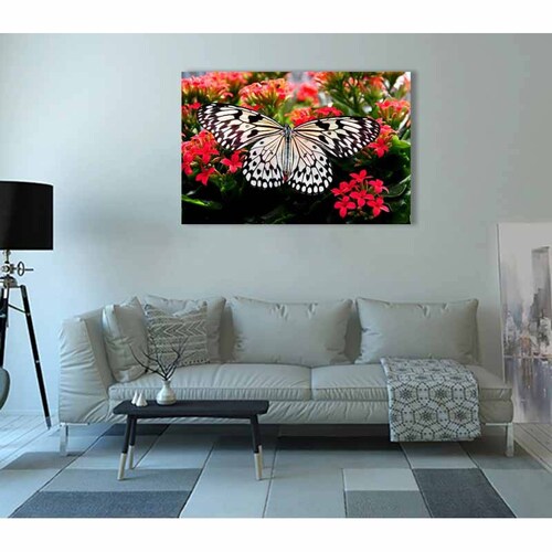 Cuadro Decorativo Canvas Paisaje Mariposa blanca sobre flores rojas de 120 X 80 cm.