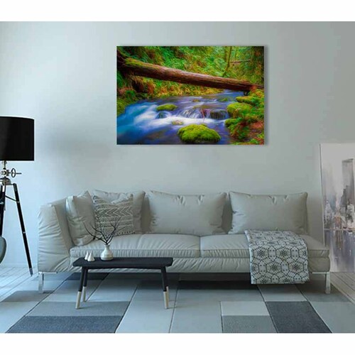 Cuadro Decorativo Canvas Paisaje de Rio en el Bosque de 120 X 80 cm.