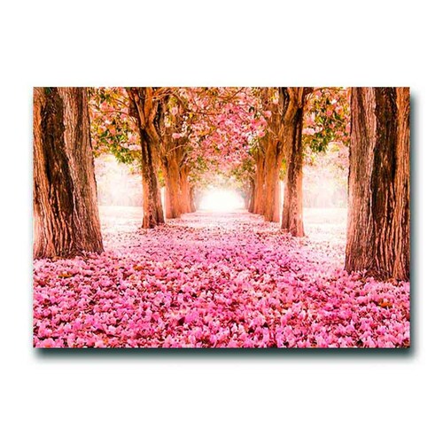 Cuadro Decorativo Canvas Paisaje de camino de pétalos rosas en el bosque de 90 X 60 cm