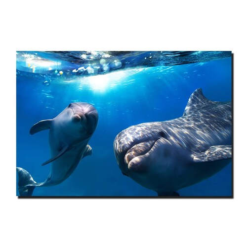 Cuadro Decorativo Canvas Paisaje de Delfines de 120 X 80 cm.