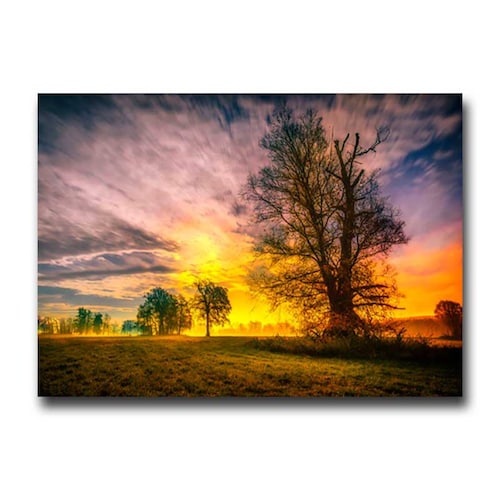 Cuadro Decorativo Lindo Atardecer 120 X 60 cm.