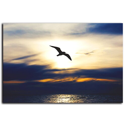 Cuadro Decorativo Canvas Gaviota en el Atardecer 120 X 60 cm