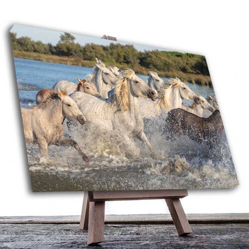 Cuadro Decorativo Caballos Cruzando el Rio 120 X 60 cm