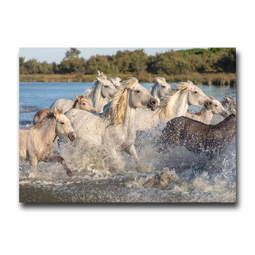 Cuadro Decorativo Caballos Cruzando el Rio 120 X 60 cm