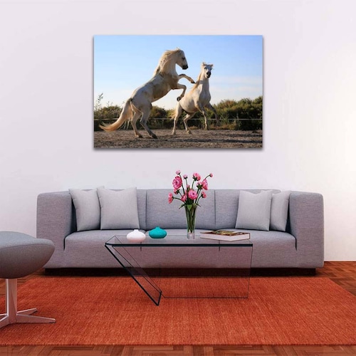 Cuadro Decorativo Caballos Blancos 120 X 60 cm.