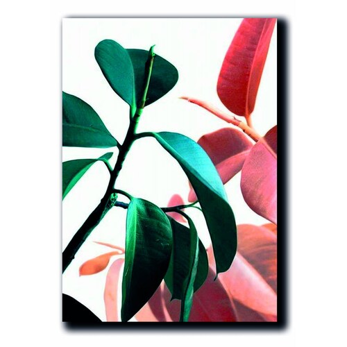Cuadros Decorativos Set de 3 pzs Canvas de hojas moderno #3 30 X 45 cm