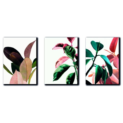 Set de 3 Canvas/Cuadros Decorativos