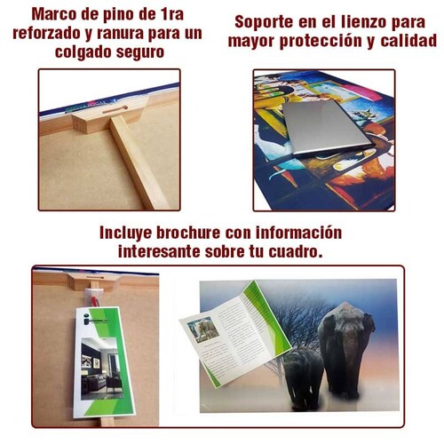 Cuadro Decorativo Rosto Mujer en Dorado y Negro #6 de 40 x 60 cm.