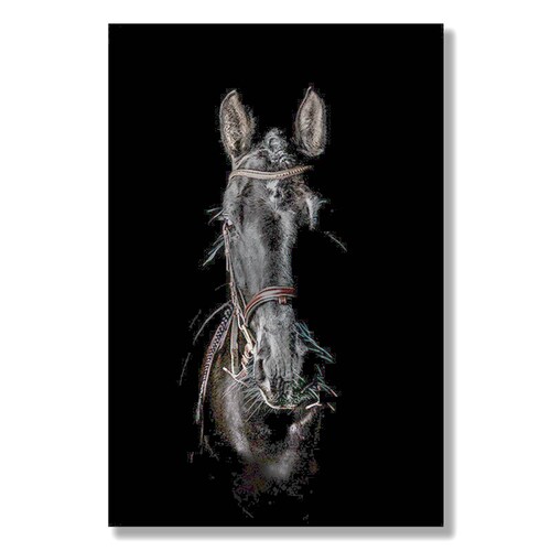 Cuadro Decorativo Caballo Negro y Dorado de 60 X 90 cm