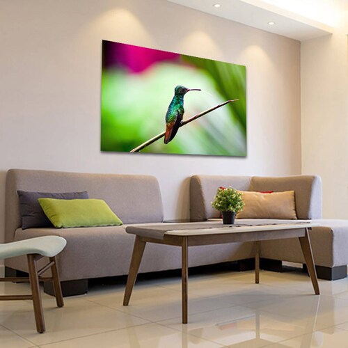Cuadro Decorativo Canvas Ave Colibrí 120 X 80 cm #19.