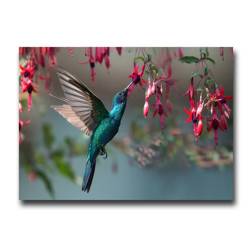 Cuadro Decorativo Canvas Ave Colibrí 90 X 60 cm  #3
