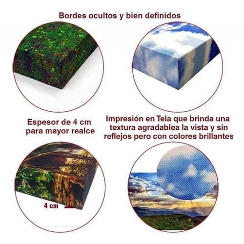 Cuadro Decorativo Canvas Ave Colibrí 90 X 60 cm  #3