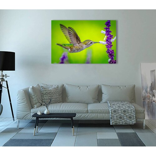 Cuadro Decorativo Canvas Ave Colibrí 90 X 60 cm  #12