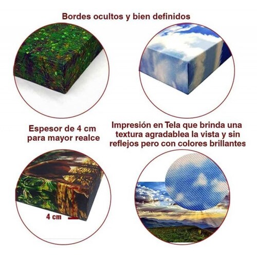 Cuadro Decorativo Canvas Ave Colibrí 90 X 60 cm  #12