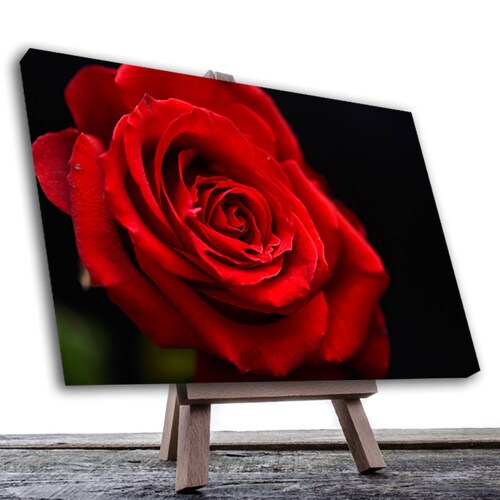 Cuadro Decorativo Rosa Blanco Y Negro Con Vivos Rojos #37 90 X 60.