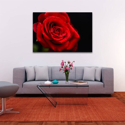 Cuadro Decorativo Rosa Blanco Y Negro Con Vivos Rojos #37 90 X 60.