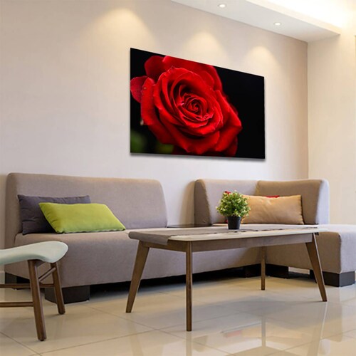 Cuadro Decorativo Rosa Blanco Y Negro Con Vivos Rojos #37 90 X 60.