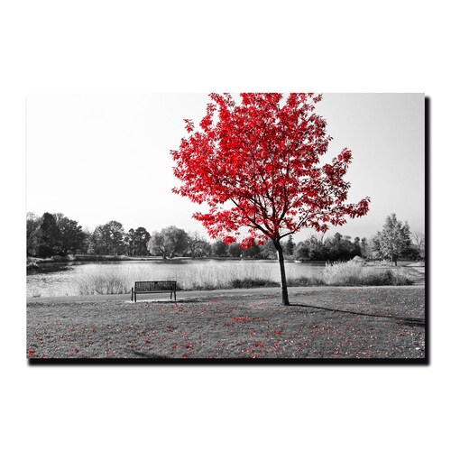 Cuadro Decorativo Árbol Blanco Y Negro Con Vivos Rojos #8 45 X 30